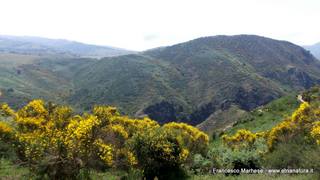 scate del Catafurco-17-06-2015 17-10-40